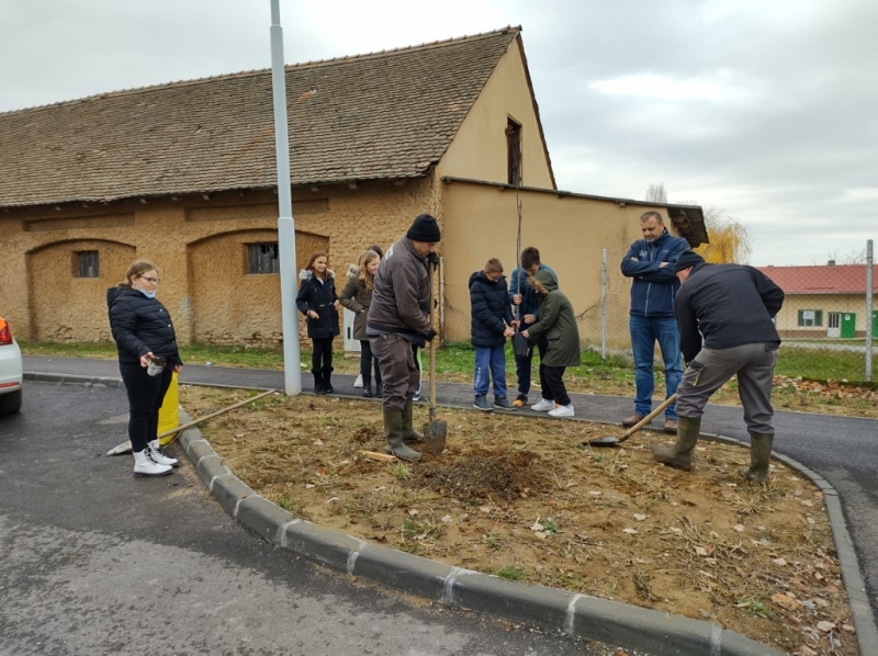 Zasadi stablo ne budi panj 2021.