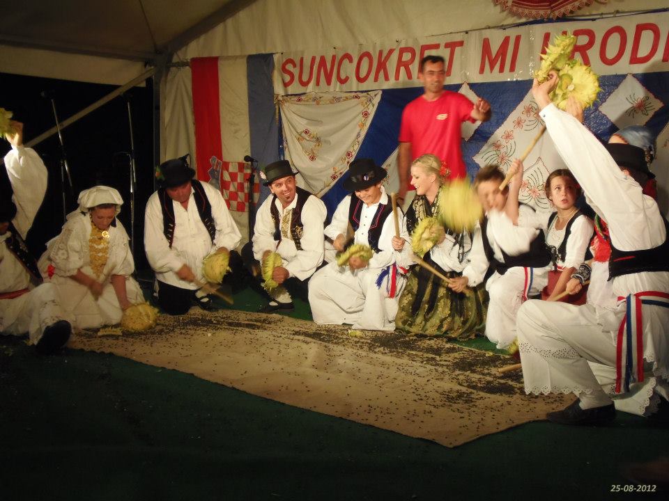 Šljivoševci 2012